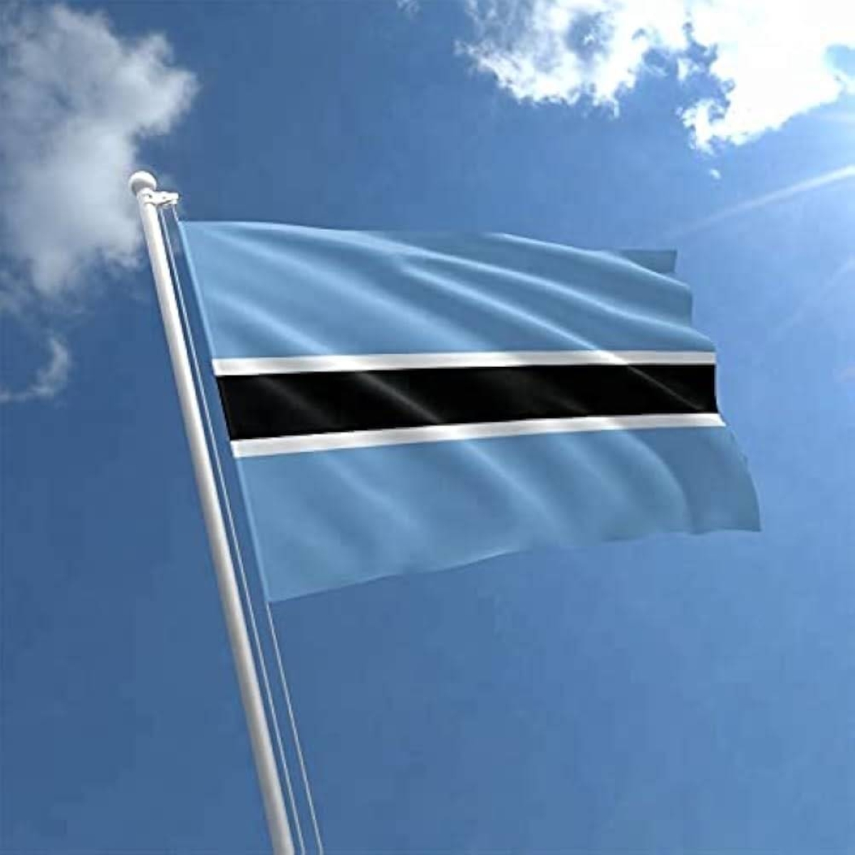 بوتسوانا تواجه تحدي الماس الصناعي: هل ينهار اقتصادها؟