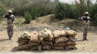 حرس الحدود بجازان يوجه ضربة قاصمة للمهربين.. ضبط إثيوبي بحوزته 180 ألف قرص مخدر