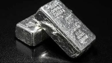 أسعار الفضة تقفز لمستويات غير مسبوقة وسط رهانات التيسير النقدي